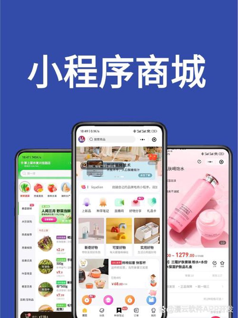 网购潮流:轻松购物新体验