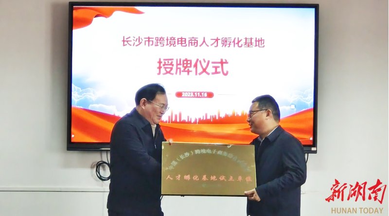 湖南电商行业焕新篇:数字浪潮下的创新探索